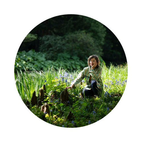Une souche d’arbre, symbole de guérison et de résilience.